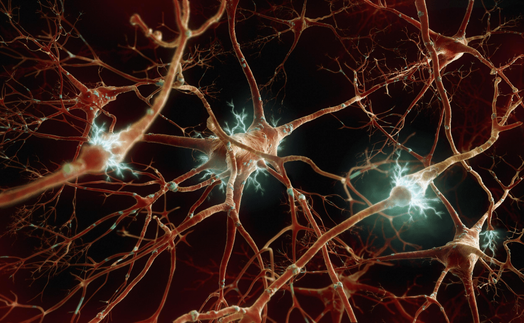Движение нейронов